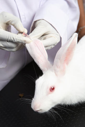 St. Peter's Institute of Pharmaceutical Sciences Warangal Laboratory photo 10